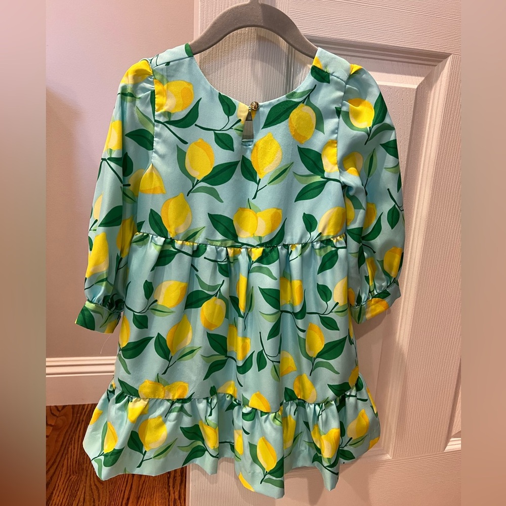 Janie and Jack dress size 3